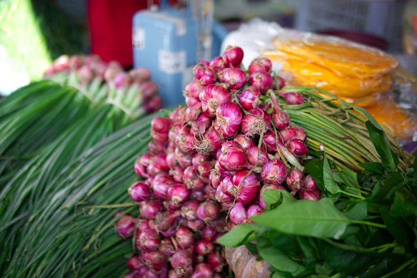Astuces et conseils pour identifier les vins pétillants sans alcool